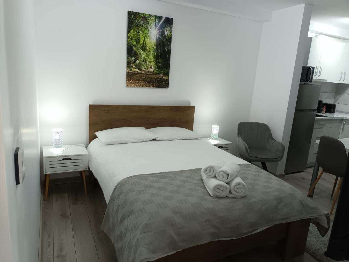 Old Town Studio Apartments Baia Mare Exterior photo